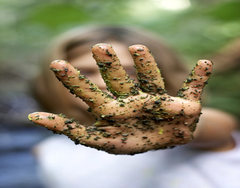 A hand covered in dirt